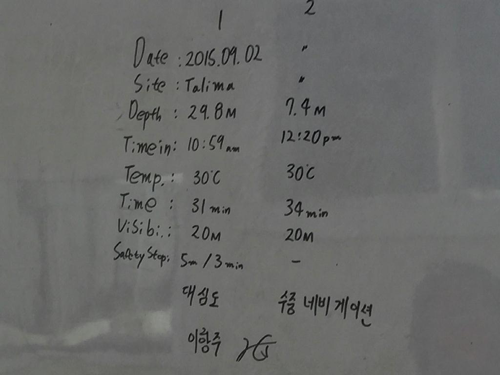 수중 네이게이션 교육 - 막탄 - Talima
