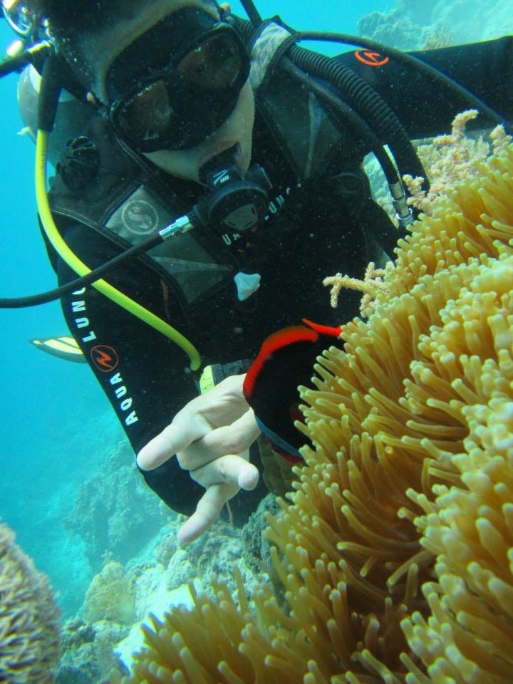 어류식별 - Mactan, Philipines - BasCoral