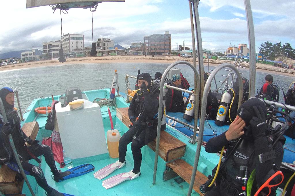 천진 OK 다이브 - 오아시스