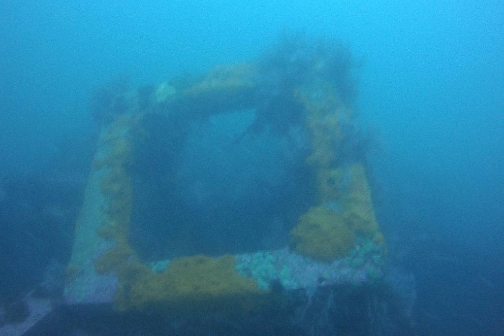 천진 OK 다이브 - 오아시스