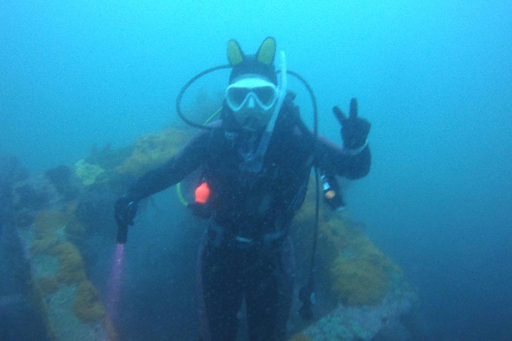 천진 OK 다이브 - 오아시스