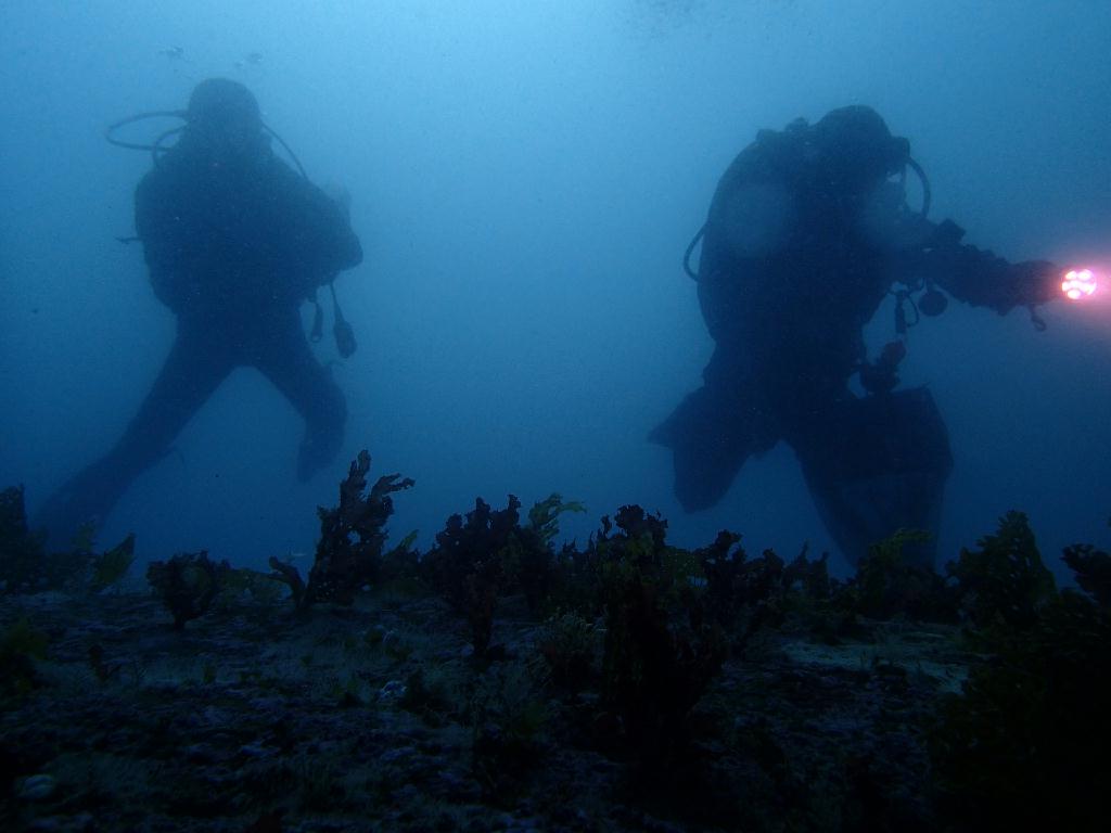 펀다이빙 - 강원도 고성 청간정 리조트 - 산호공원