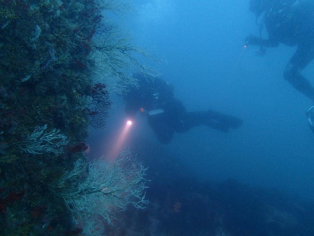 펀다이빙 - 강원도 고성 청간정 리조트 - 산호공원