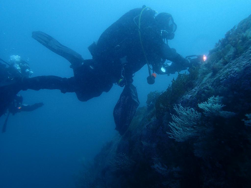 펀다이빙 - 강원도 고성 청간정 리조트 - 산호공원