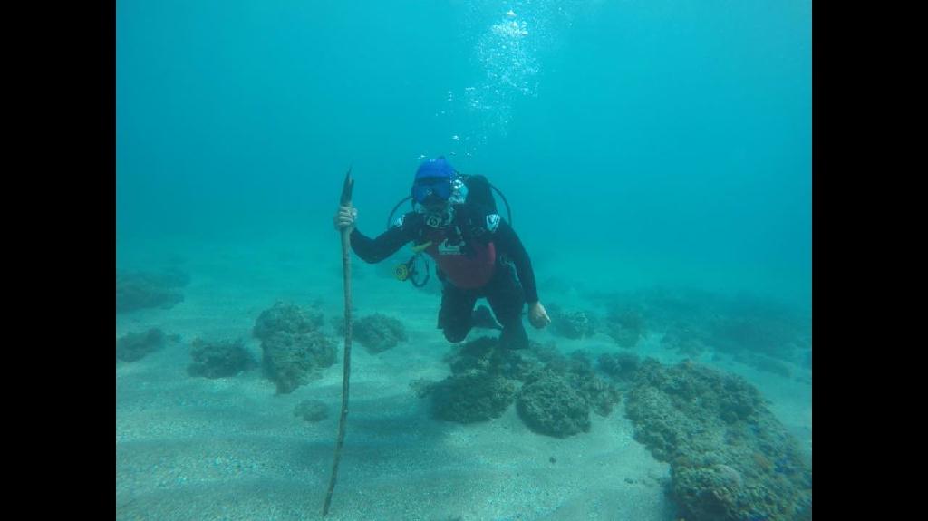 스킬트레이닝 - dili - dili rock