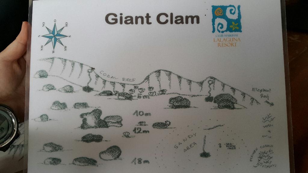 사방비치 아우라리조트 - Giant Clam