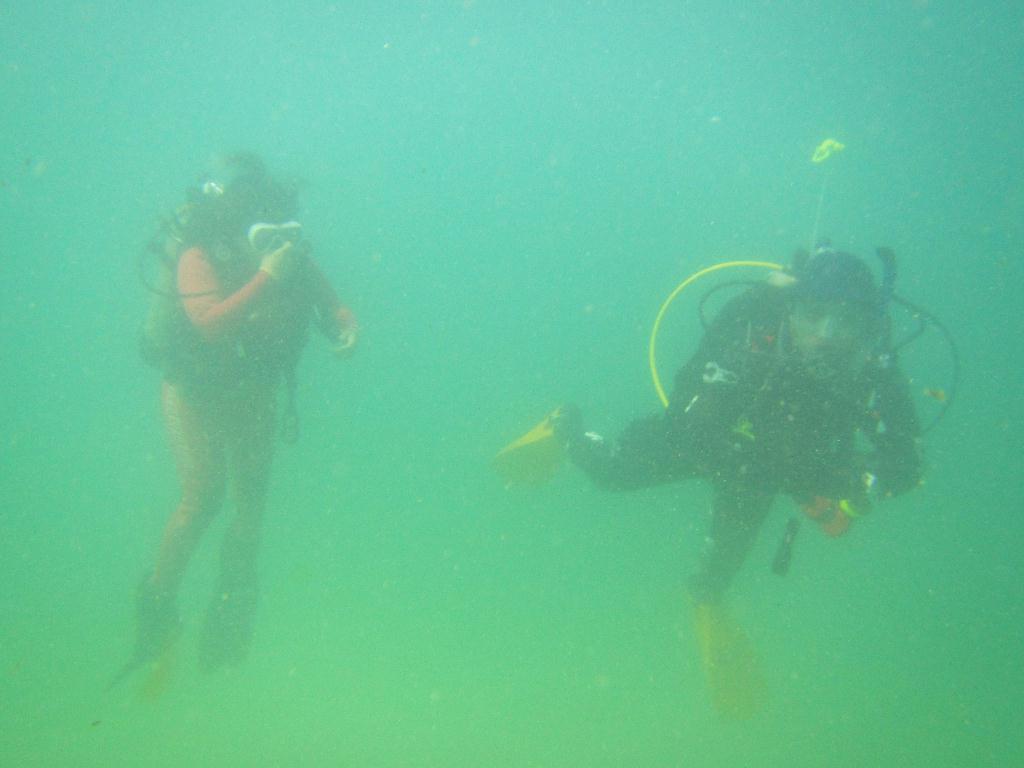 FUN DIVING  - 속초 에코다이버스  - 등대해수욕장 