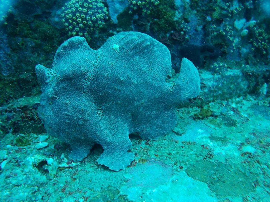 사방비치 아우라리조트 - Dry Dock