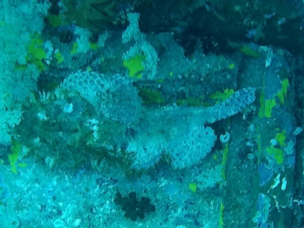 사방비치 아우라리조트 - Dry Dock