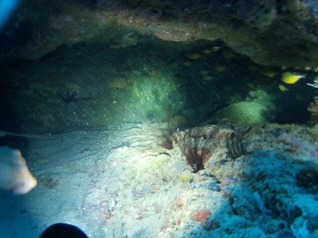 사방비치 아우라리조트 - Ernie