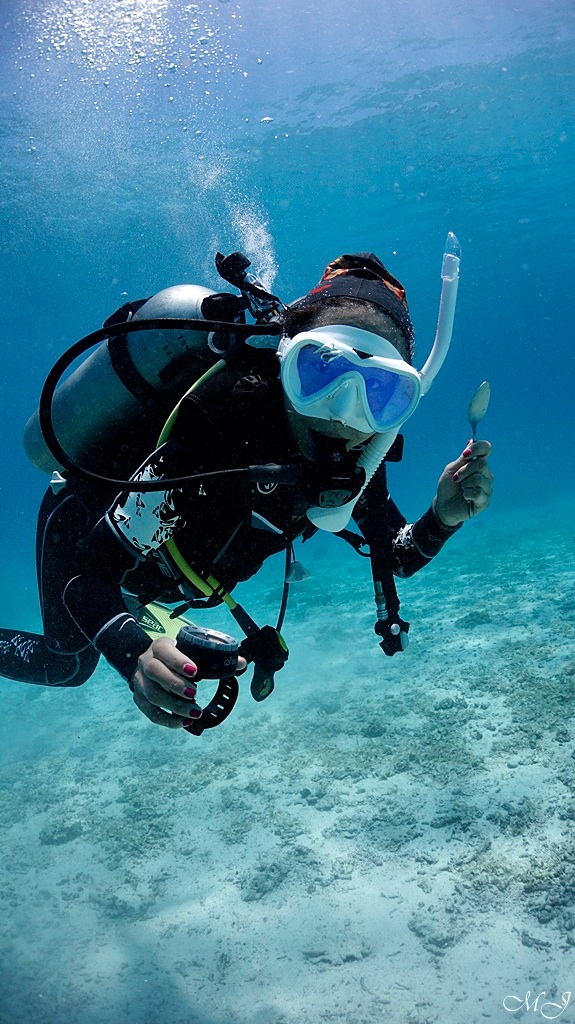 어드벤처 다이빙 항법 - Phuket - Racha Noi Banana Bay