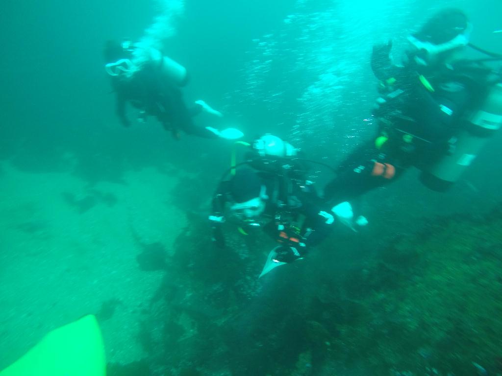FUN DIVING  - 속초 에코다이버스  - 문암 마이산