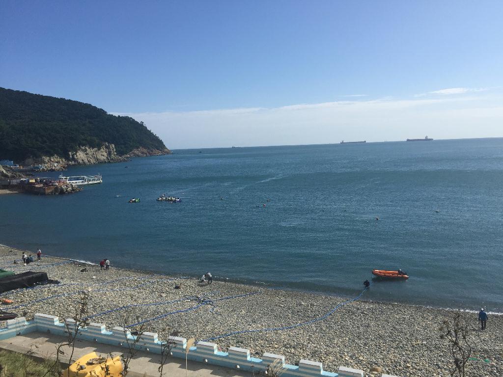 채집다이빙 - 태종대 감지해변 - 자갈마당