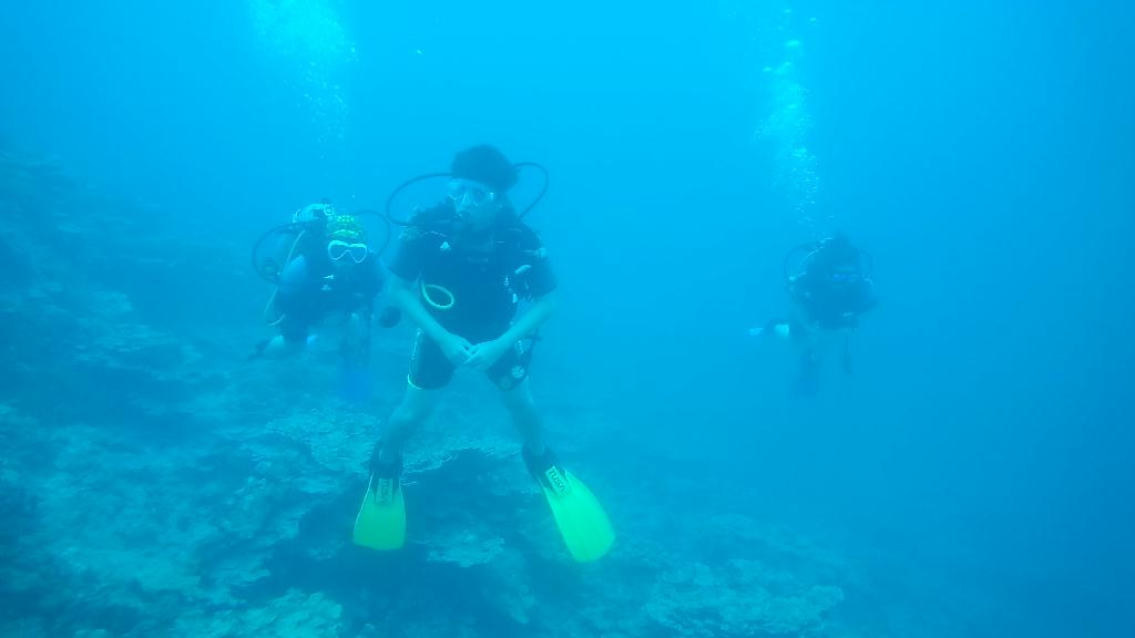 웨스턴 숄즈 스쿠버 다이빙 - Guam - Western shoals