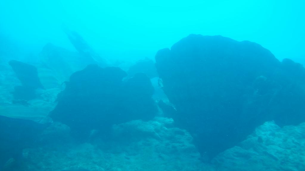 웨스턴 숄즈 스쿠버 다이빙 - Guam - Western shoals