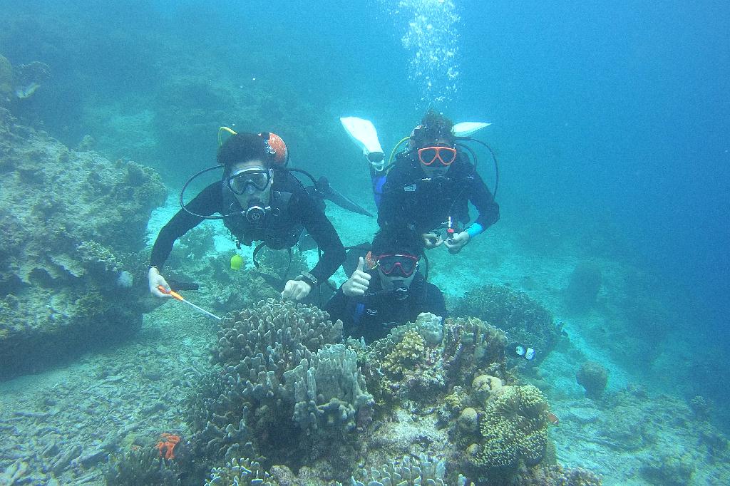 릴로안 킹덤리조트 - 수밀론