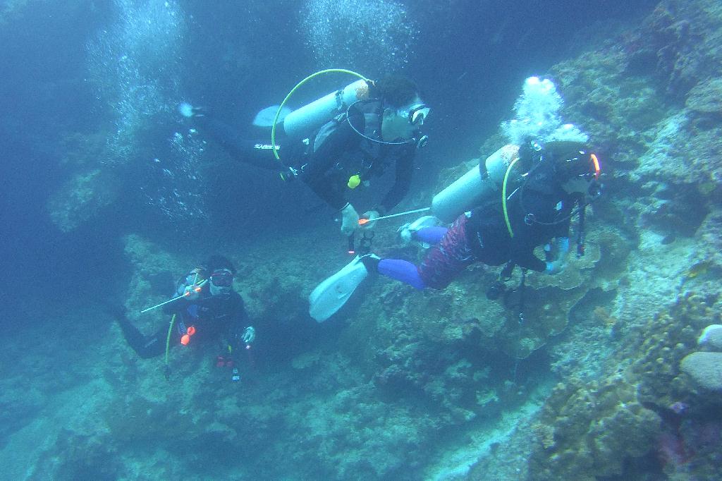 릴로안 킹덤리조트 - 수밀론