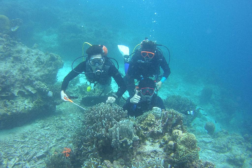 릴로안 킹덤리조트 - 수밀론