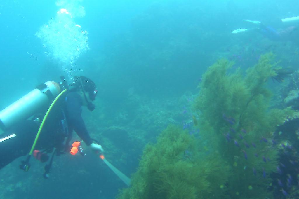 릴로안 킹덤리조트 - 수밀론