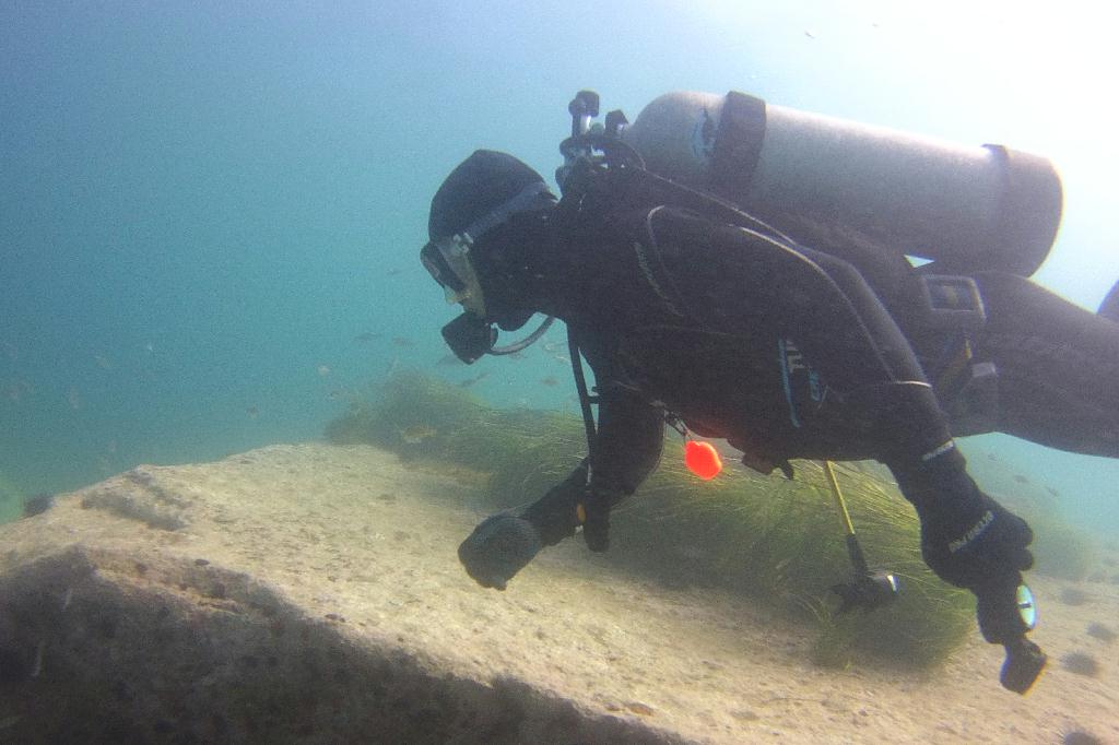 양양 38리조트 - 아취