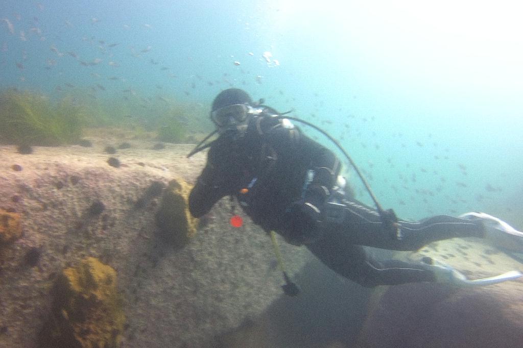 양양 38리조트 - 아취