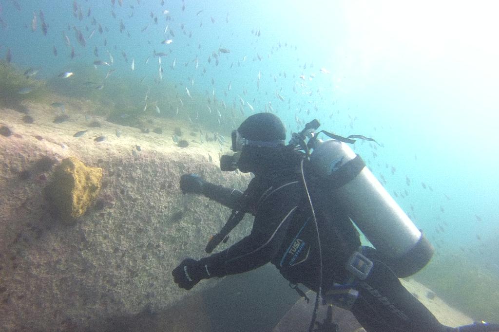 양양 38리조트 - 아취