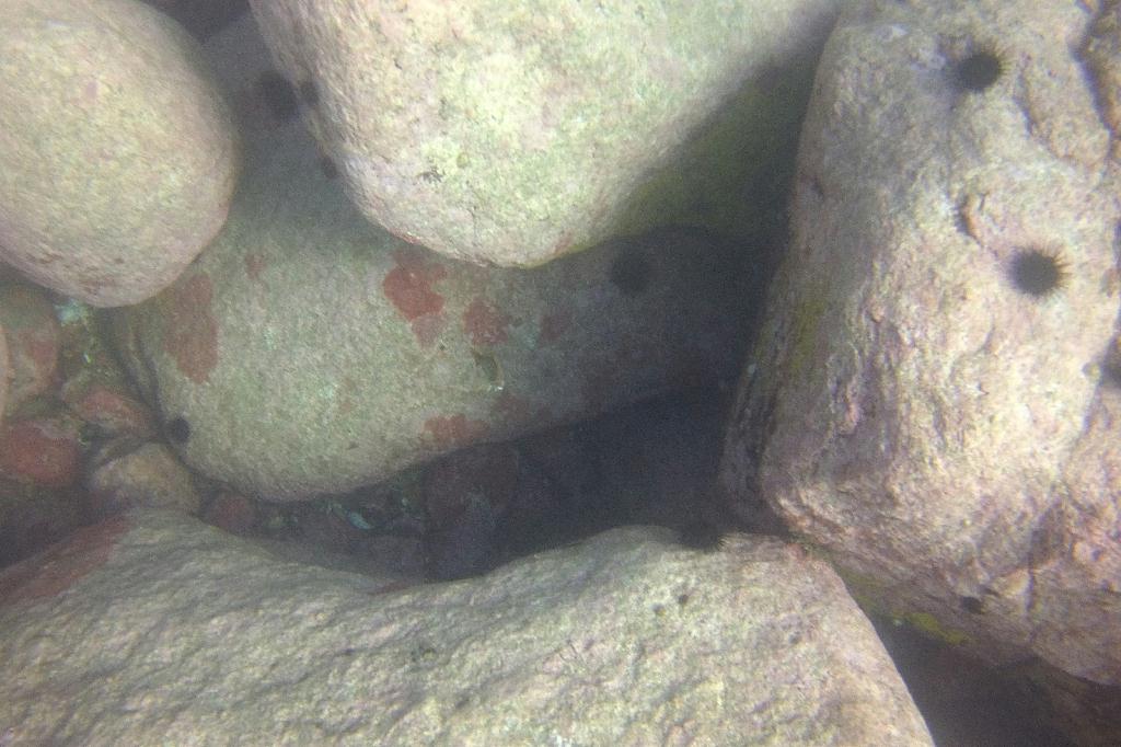 양양 38리조트 - 아취