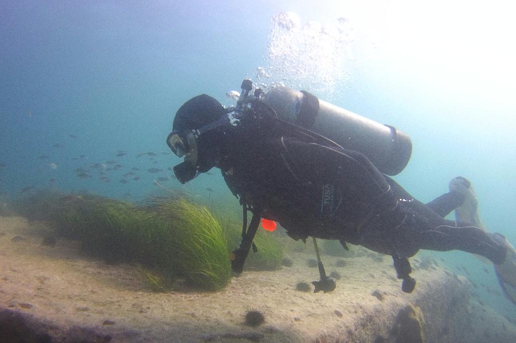 양양 38리조트 - 아취