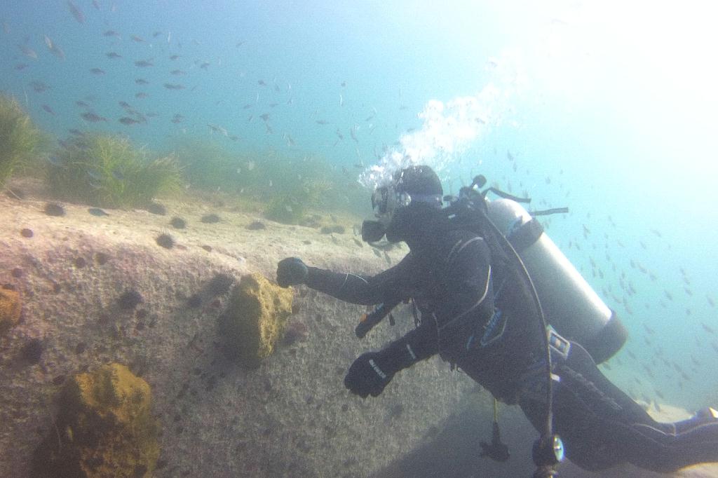 양양 38리조트 - 아취