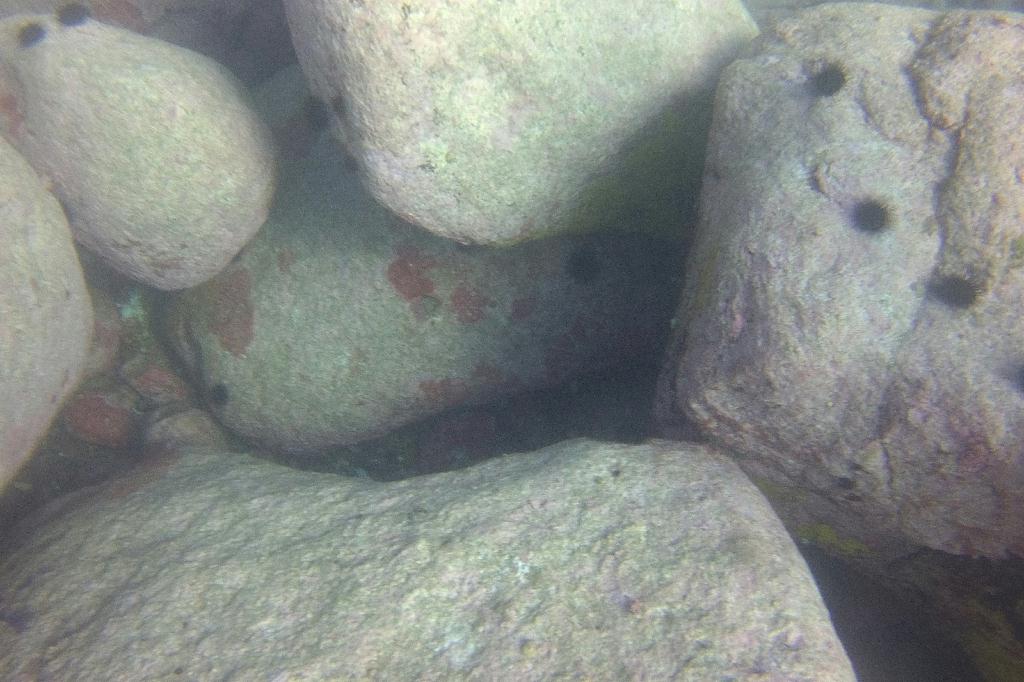 양양 38리조트 - 아취