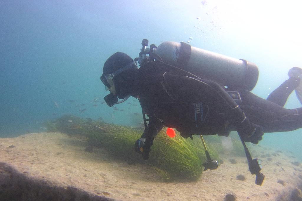 양양 38리조트 - 아취