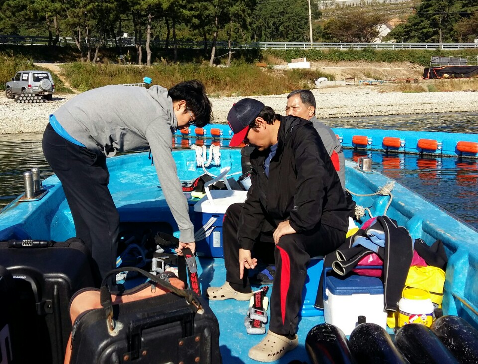 멍게 - 남해 미조 매섬 - 3번째 포인트