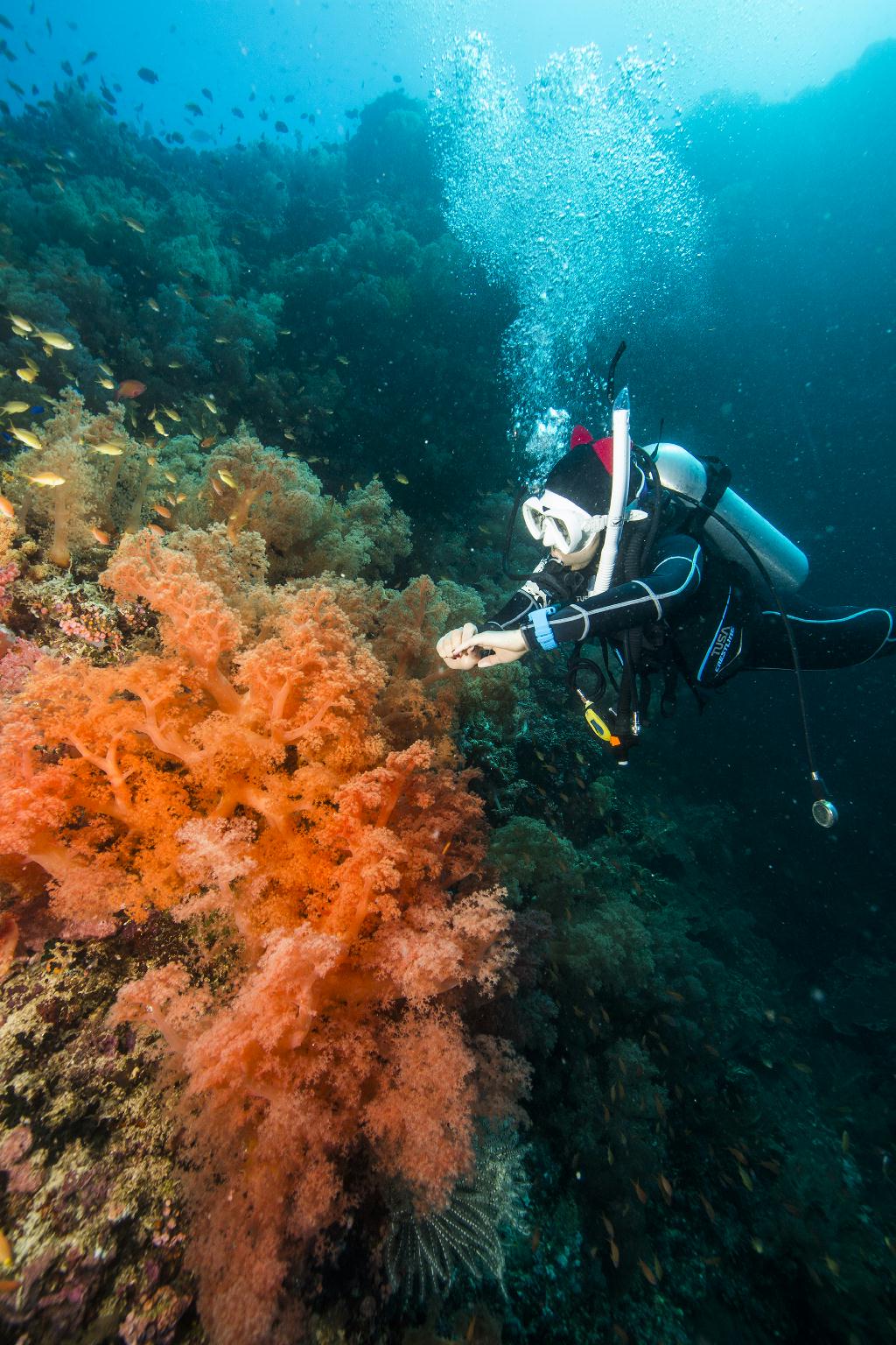 moalboal - Tongo Santuary