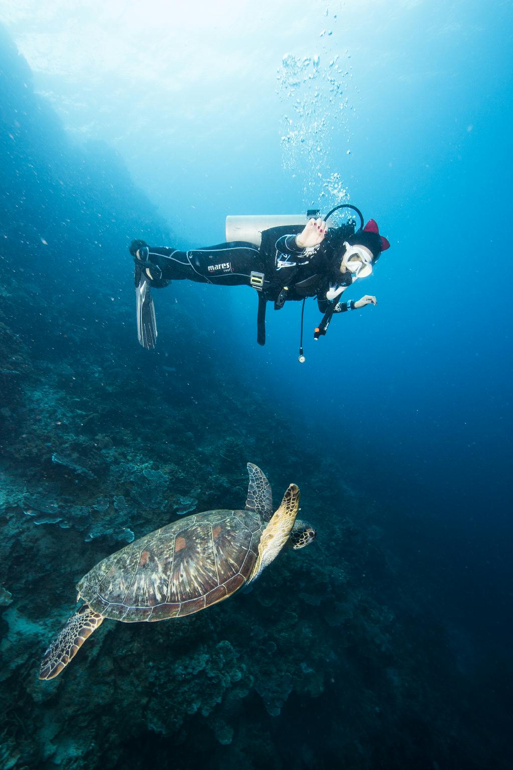 moalboal - Dolphin House