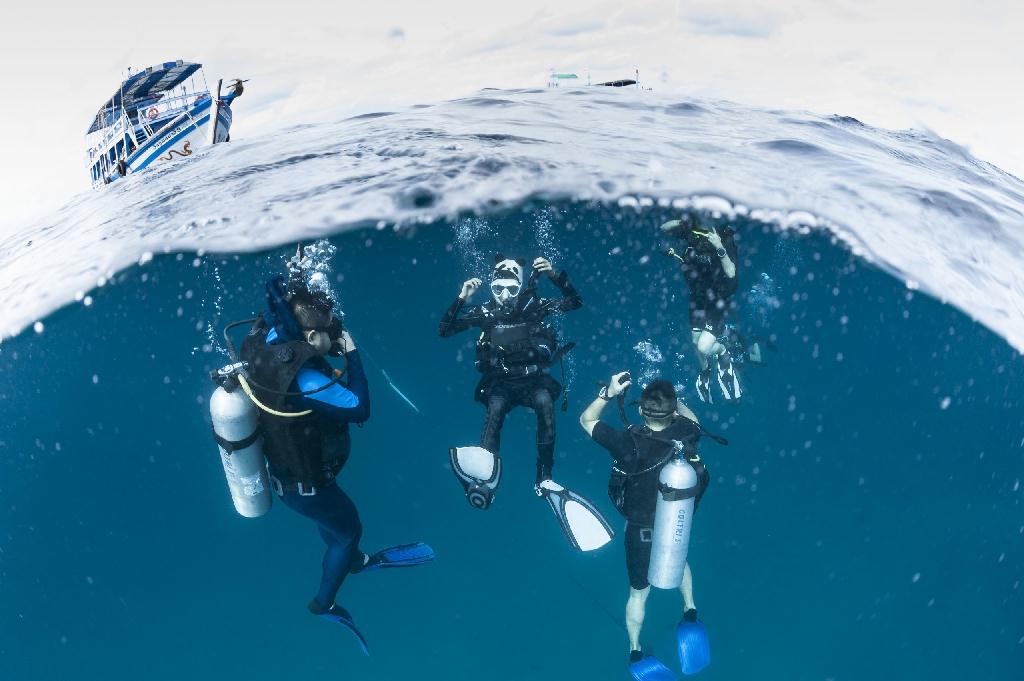 Ow-3 - Koh Tao - 双子
