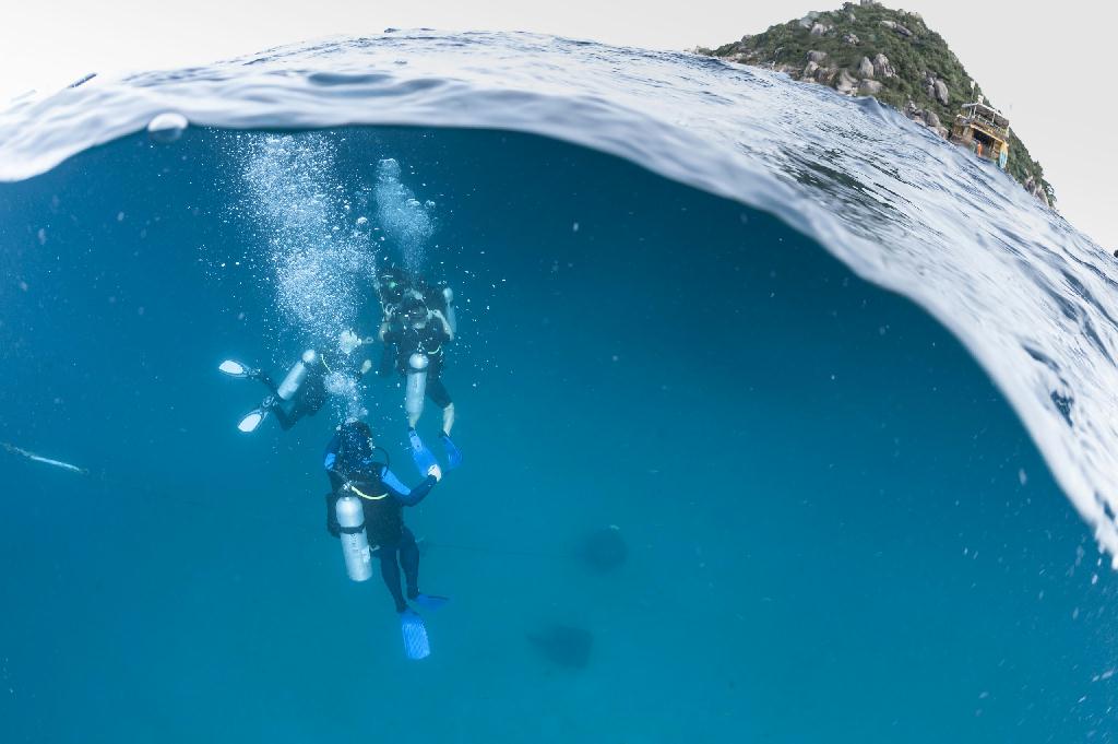 Ow-3 - Koh Tao - 双子