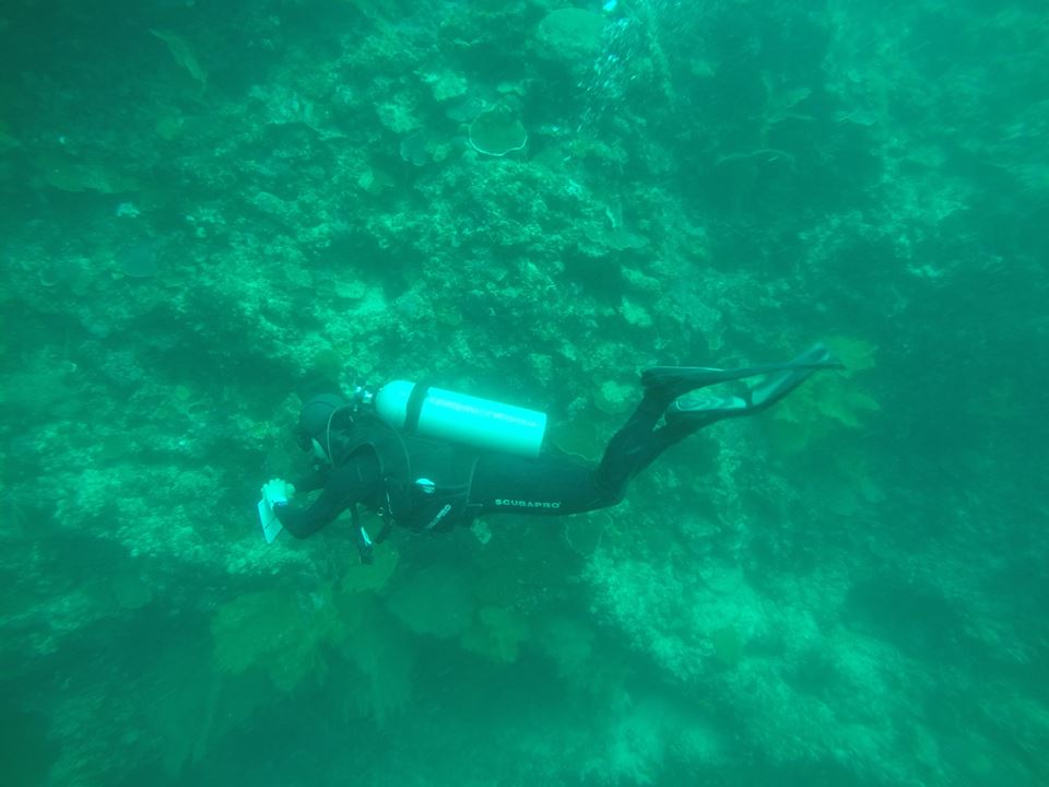 Advenced 교육 다이빙 - 세부_Only Dive Resort - 올랑고
