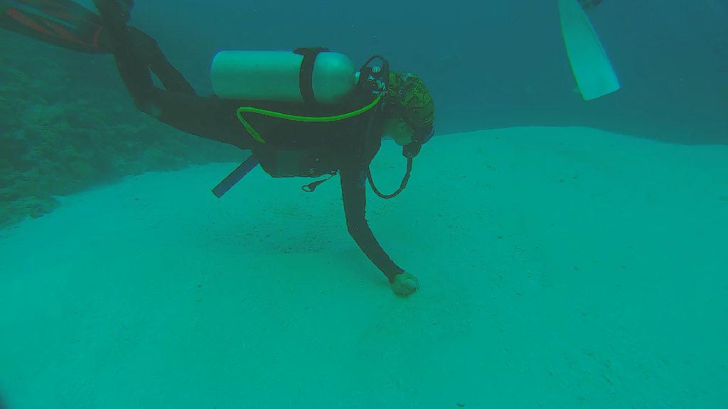 펀 다이빙 - 팔라우 - 우롱채널