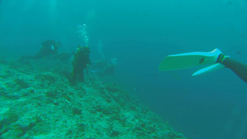 펀 다이빙 - 팔라우 - 우롱채널