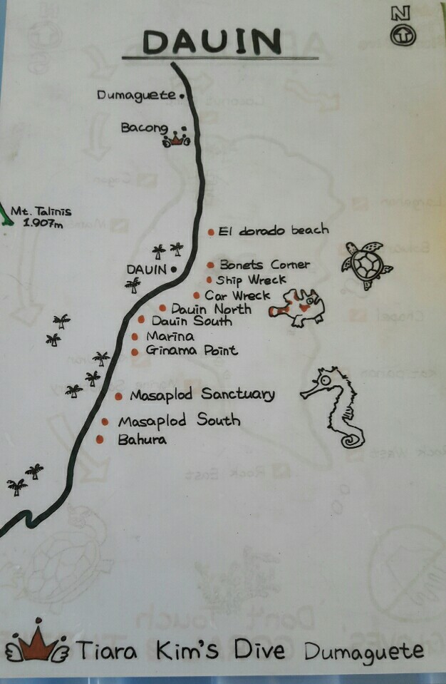 #FUN, #Coral, #Fish awareness, #Muck - *DUMAGUETE, PHL - El dorado beach@Dauin Beach