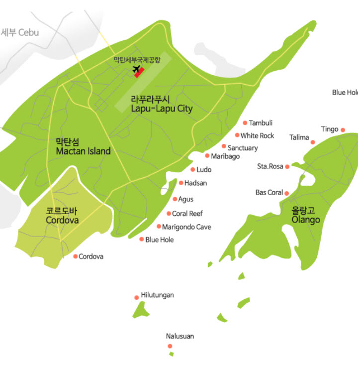 _CEBU, Philippines - Coral Reef@Mactan Island