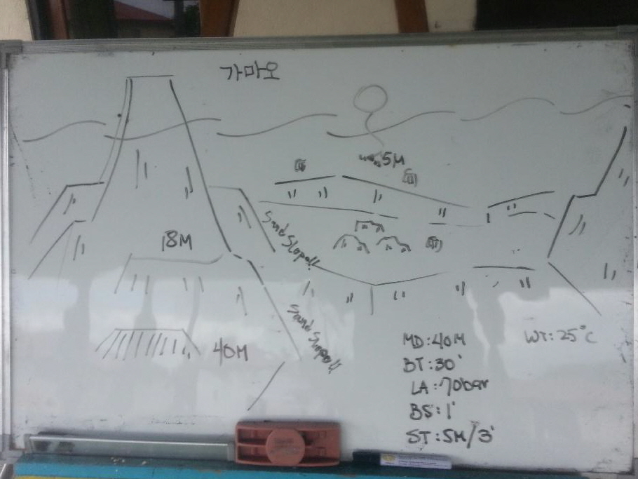 #FUN, #Coral, #Fish awareness  - *Bonito Island, PHL - 가마오 Cave