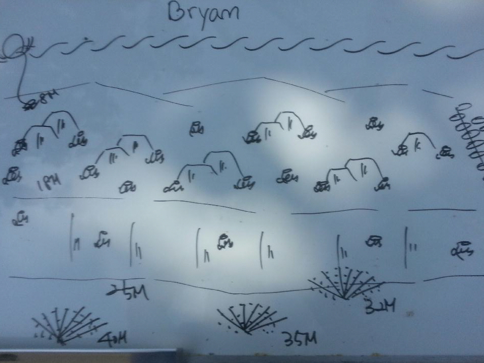#Fun, #Coral, #Fish Awareness  - *Bonito Island, PHL - Bryan