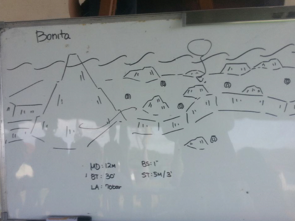 #Fun, #Coral, #Fish Awareness  - *Bonito Island, PHL - Bonita