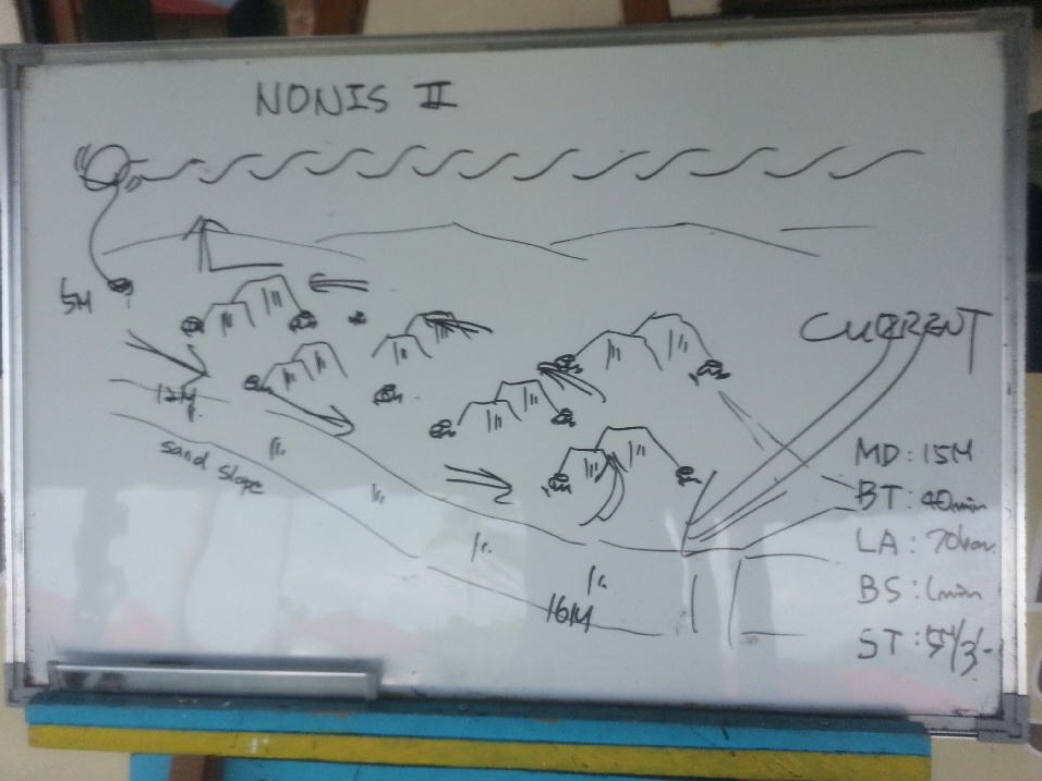 #Fun, #Coral, #Fish Awareness  - *Bonito Island, PHL - Nonis2