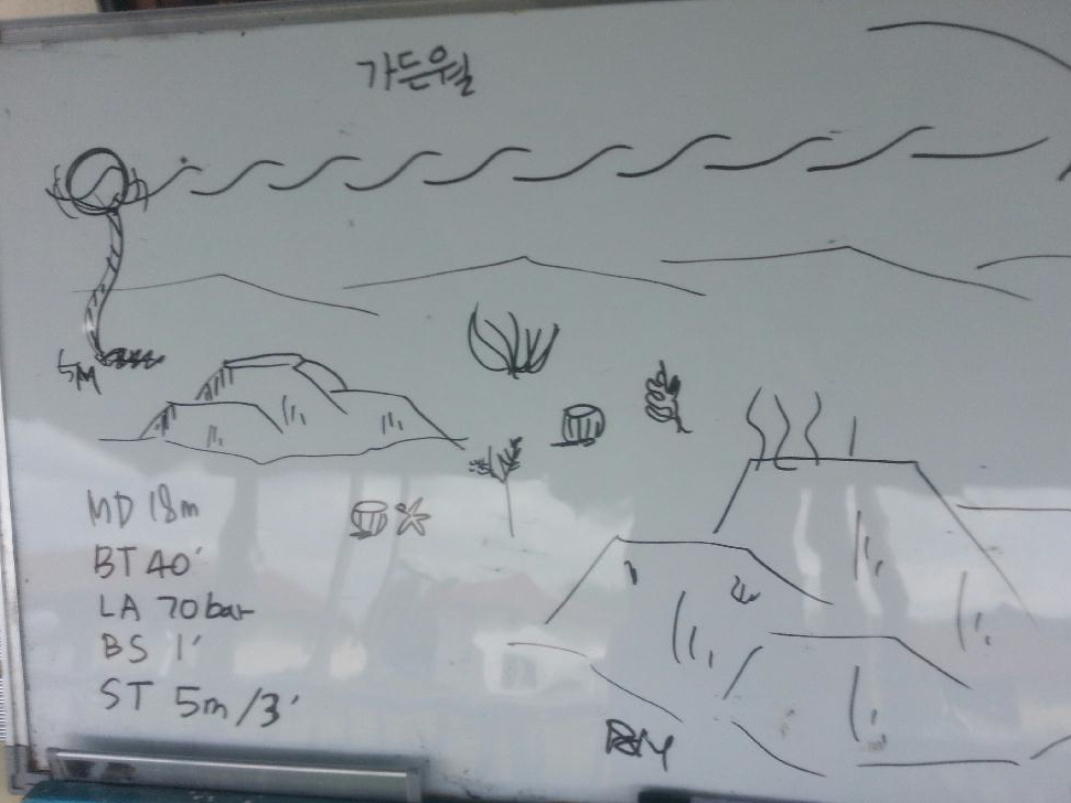 #Fun, #Coral, #Fish Awareness  - *Bonito Island, PHL - Garden Wall