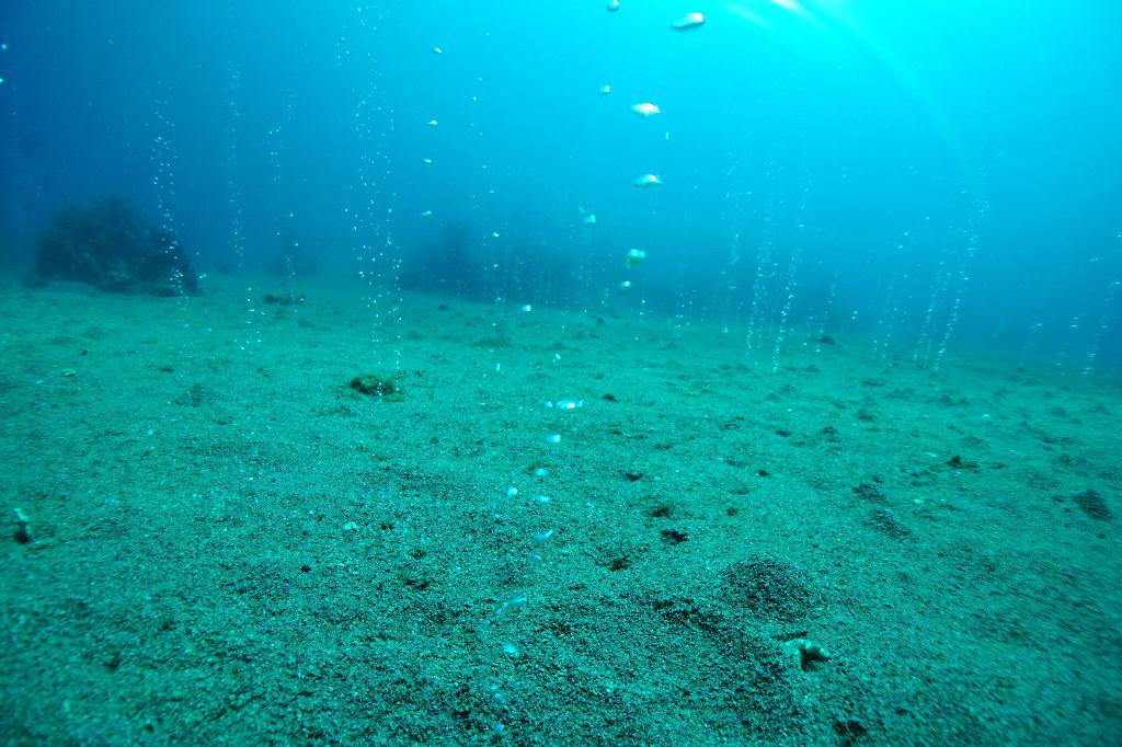 #FUN, #Coral, #Fish awareness  - *DUMAGUETE, PHL - Largahan@APO Island
