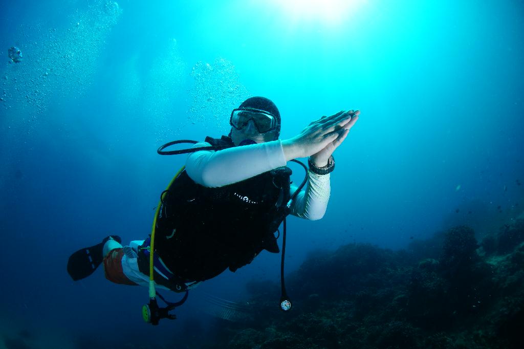 #FUN, #Coral, #Fish awareness  - *DUMAGUETE, PHL - Largahan@APO Island