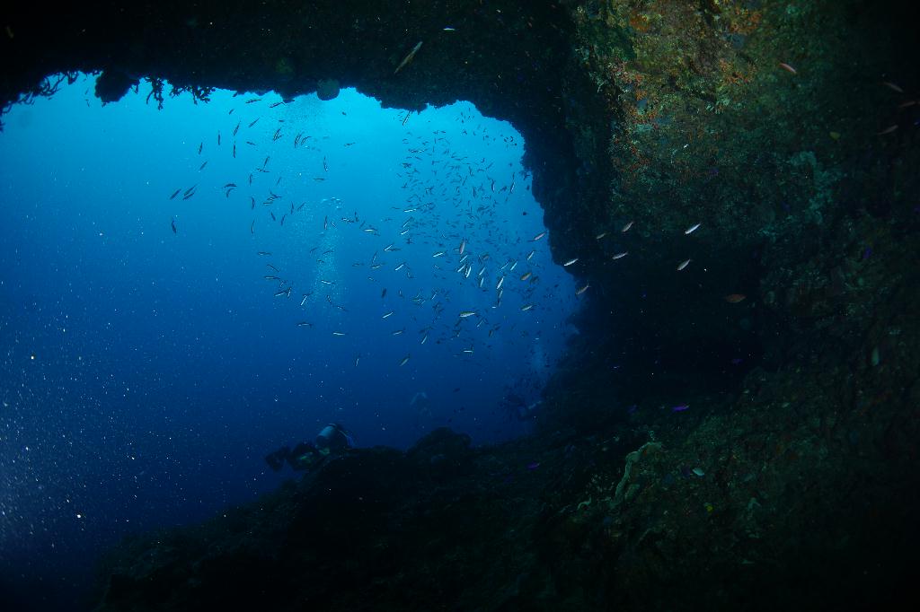 #FUN, #Coral, #Fish awareness  - *DUMAGUETE, PHL - katipanan & Chapel@APO Island