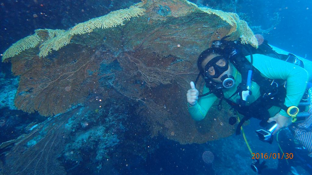 斷層觀光 - Bohol-Panglo - Balicasag